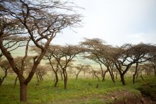 irgendwo in Tansania / ***