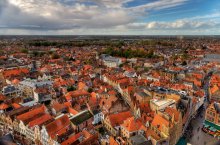 Bruges Bird / ***************