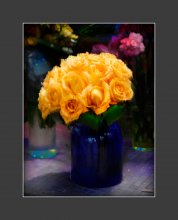 roses in the pot / ***