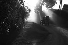 light through the smoke / ***
