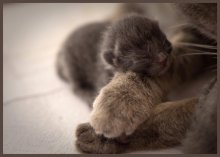 Morning new life / ***