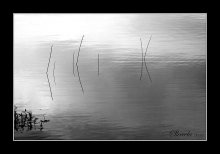 Anzeichen von Wasser 3 / ***