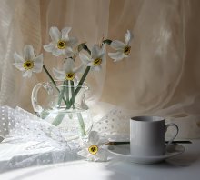 Calyx am / ***