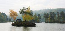 Tavatuy / ***