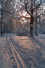 Winter is leaving ... / ***