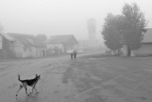 hedgehog came out of the fog / ***