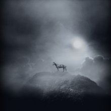 of the horse in the clouds / .....