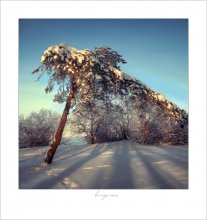 Again, winter / *******