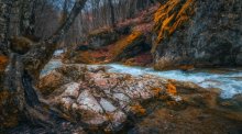 Mountain stream. / ***