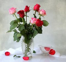 Dropped rose petals ... / ***