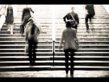 The symmetry of life / ---