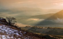 Peach dawn or light-filled -2 / ***