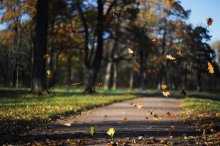 Autumn Waltz / ...