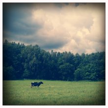  / iPhone 4S, Hipstamatic