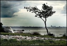  / landscapes