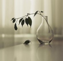 On the losses ... / ...................