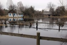 Flood / ***