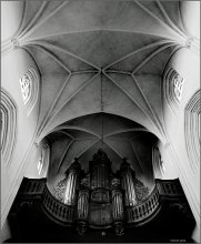 Organ / ***