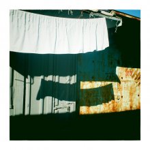 vignette / ________