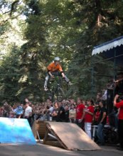 Springboard / ***