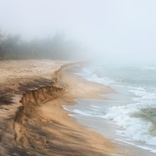 Misty reverie / ***