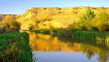 Die goldene Reflexion / ***