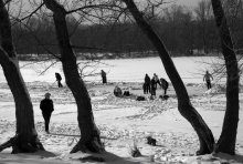 rink / ***
