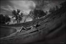 Plotina / ***