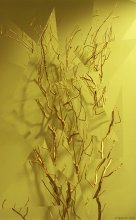 [Golden_Bush] / ***