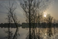 At dawn / ***