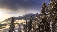 Kashmir Sunrise / ***