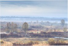 Nebel / ***