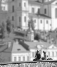 Sitting on a high bank / ***