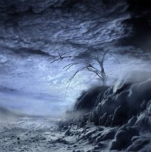 In search of the Tree of Chill ... / ***