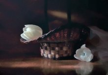 White tulips / ***