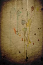 [The last song of the Woodpecker...] / ***