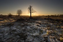 Last frost / ***
