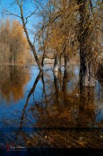 Spring flood / ***