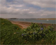 Sunday afternoon ... ... / ...Malahide Bay...