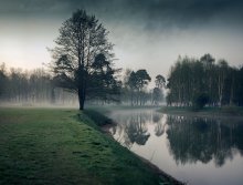 Abend Nebel / ***