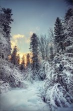 Winter / *******