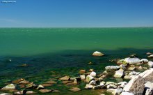 Spring Sea / ***