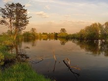 A quiet evening / ***