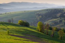the misty slopes of the Carpathians / ***
