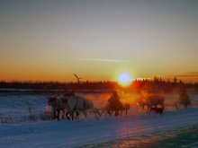 Herders / ***