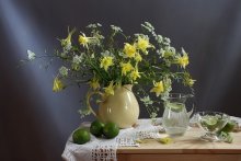 Still life with Aquilegia / ***