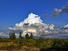 Wolke / ***