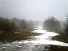 Spring / ***