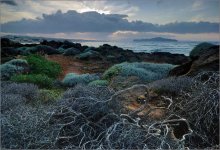 "Skeleton Coast" / ***