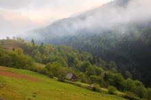 Misty dawn cloudy / ***